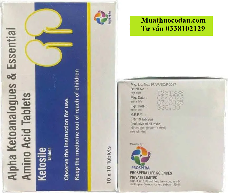 Thuốc Ketosile Alpha Ketoanalogues of Essential Amino Acid giá bao nhiêu mua ở đâu?