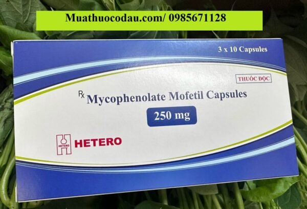 Mycofenolate Thuốc Mycofenolate Mofetil 250mg Hetero giá bao nhiêu mua ở đâu?